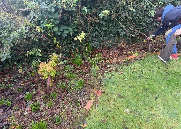 Stylish And In Montpelier * Bristol