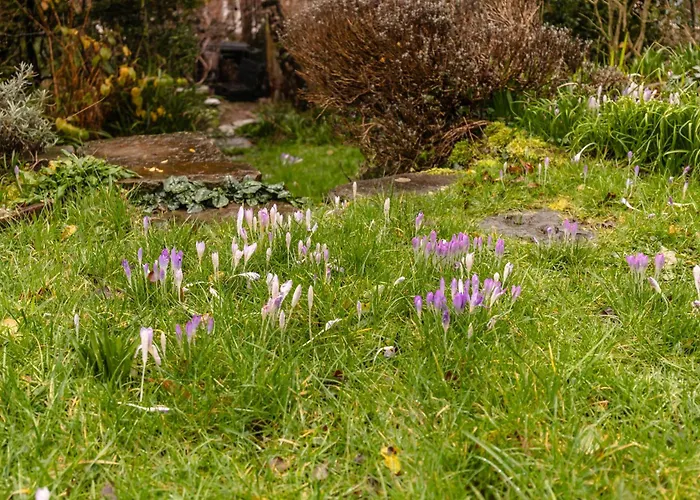 Stylish And In Montpelier * Bristol